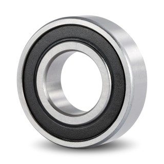 6000 Series Bearing